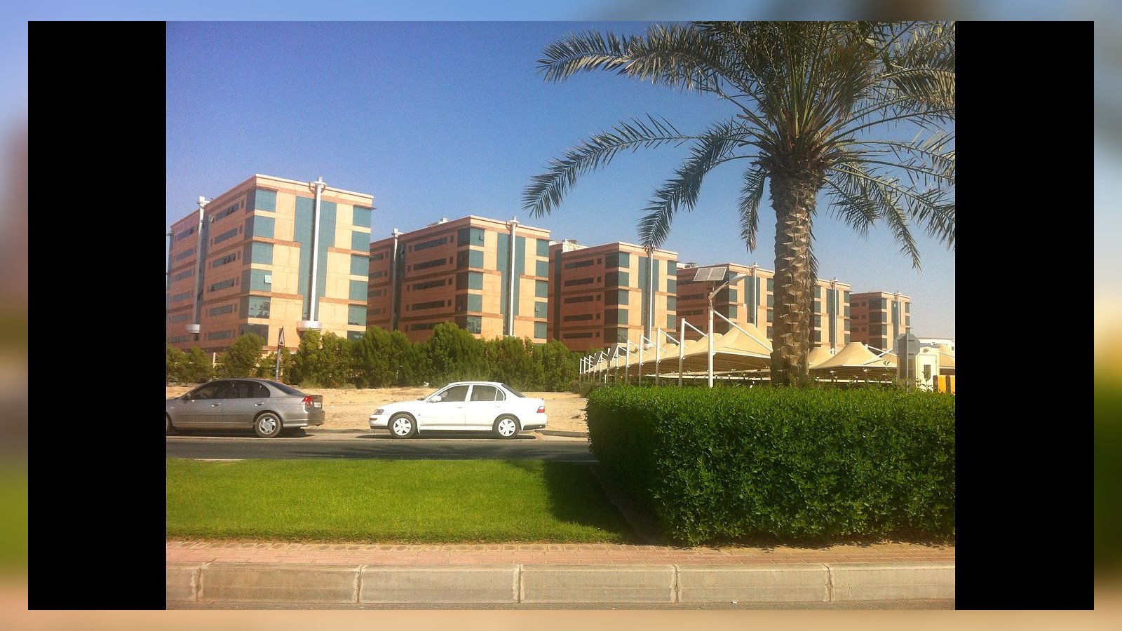 UAE small business founder sharing a real achievement story